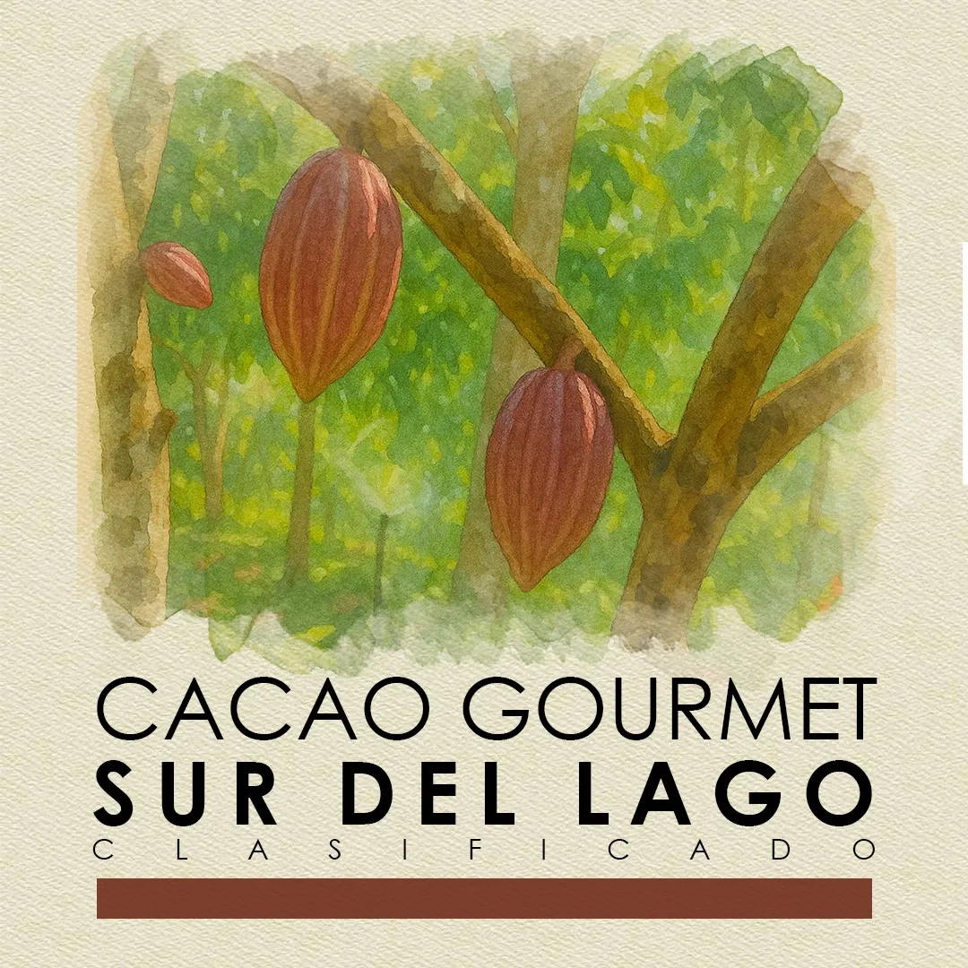 Panoramic view of South Lake Maracaibo cocoa plantation